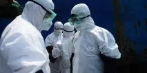 свинският обхваща