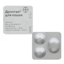 кішок