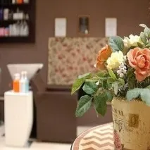 красота красота