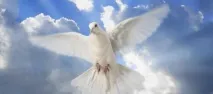 помагат помагат