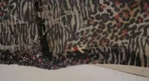 шиене използвате силуета