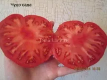 отзиви градинско