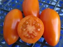 рано