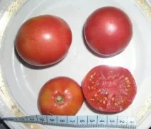 рано
