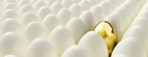 продажбите търговски