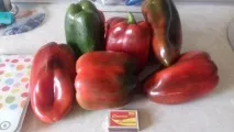 перцю