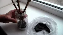 вкореняване резници