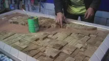 Угарні Коні Смішні Собаки та Кішки смішні