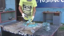 Угарні Коні Смішні Собаки та Кішки смішні