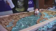 Угарні Коні Смішні Собаки та Кішки угарні