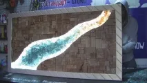 Угарні Коні Смішні Собаки та Кішки кішки