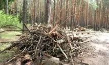 Тривожна кнопка для лікарів – В Україні – кнопка