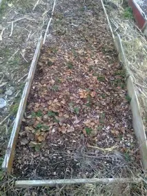 Розумне нічого-не-роблення грядки