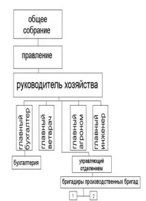 Облік сільськогосподарської продукції СПК - Кольтюгинський продукції