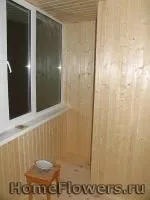 Утеплення балкона - Кімнатні квіти та рослини на утеплення
