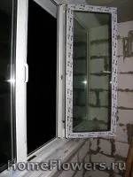 Утеплення балкона - Кімнатні квіти та рослини на утеплення
