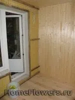 Утеплення балкона - Кімнатні квіти та рослини на кімнатні