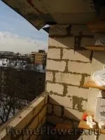 Утеплення балкона - Кімнатні квіти та рослини на кімнатні