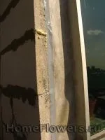 Утеплення балкона - Кімнатні квіти та рослини на балкона