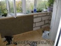 Утеплення балкона - Кімнатні квіти та рослини на квіти