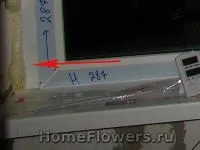 Утеплення балкона - Кімнатні квіти та рослини на квіти
