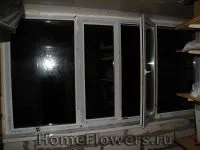 Утеплення балкона - Кімнатні квіти та рослини на балкона
