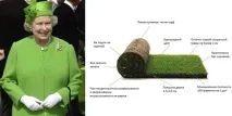 личен площи
