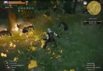 куеста wild