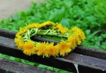 Вінок із квітів на голову вінок