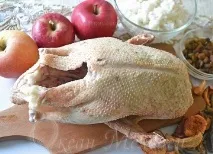 духовці