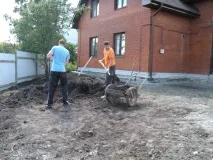 Влаштування посівних газонів газону