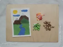природата викторина