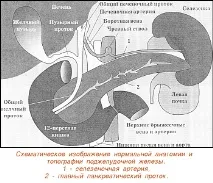 система ултразвук
