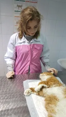 клиника