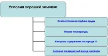 Осетри - об’єкти аквакультури годування