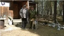 Звіт про весняні випробування гончаків 2017 р. випробування