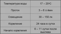 Осетри - об’єкти аквакультури єкти