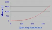 Осетри - об’єкти аквакультури осетри