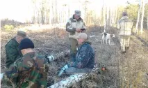 Звіт про весняні випробування гончаків 2017 р. весняні