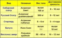 Осетри - об’єкти аквакультури аквакультури
