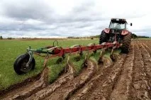 Освоєння цілинної ділянки, мій досвід, Головний клуб - 3320707 освоєння
