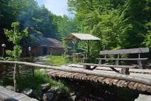 плувайте чани
