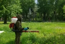 Освоєння цілинної ділянки, мій досвід, Головний клуб - 3320707 цілинної
