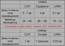 Осетри - об’єкти аквакультури аквакультури
