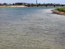 Відпочинок з дітьми на Сиваші особистий досвід, корисні рекомендації відпочинок