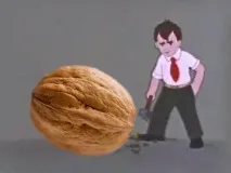 ядки ядки