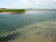 Відпочинок з дітьми на Сиваші особистий досвід, корисні рекомендації особистий