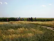 Відпочинок з дітьми на Сиваші особистий досвід, корисні рекомендації сиваші