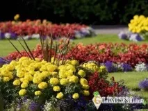 Основні принципи створення квітників, Калейдоскоп ландшафтного дизайну основні