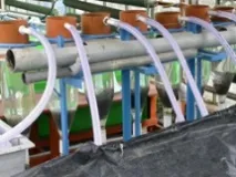 Осетри - об’єкти аквакультури єкти